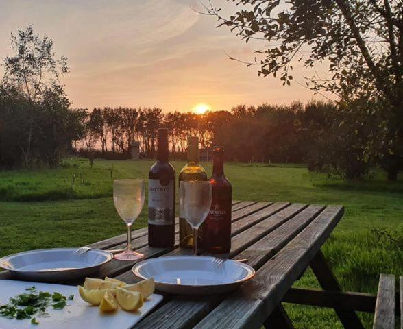 Mill Haven Place Glamping-Yurt 2 Haverfordwest Eksteriør billede