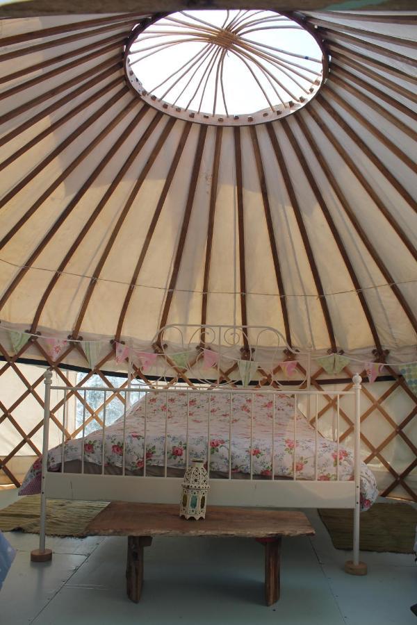 Mill Haven Place Glamping-Yurt 2 Haverfordwest Eksteriør billede