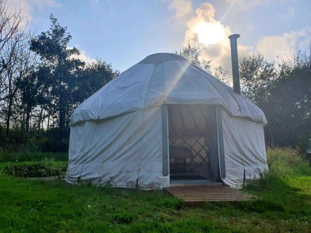 Mill Haven Place Glamping-Yurt 2 Haverfordwest Eksteriør billede