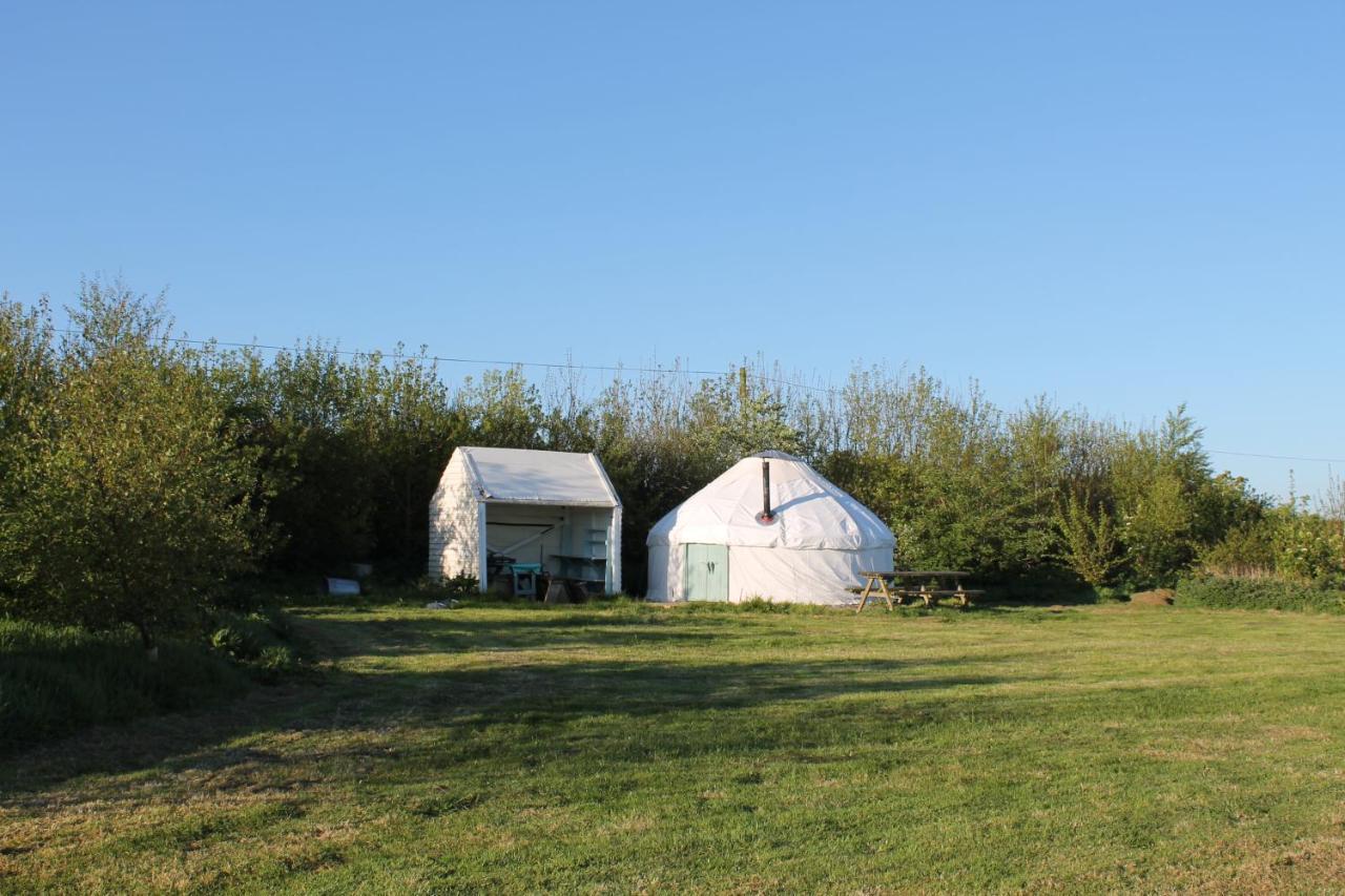 Mill Haven Place Glamping-Yurt 2 Haverfordwest Eksteriør billede