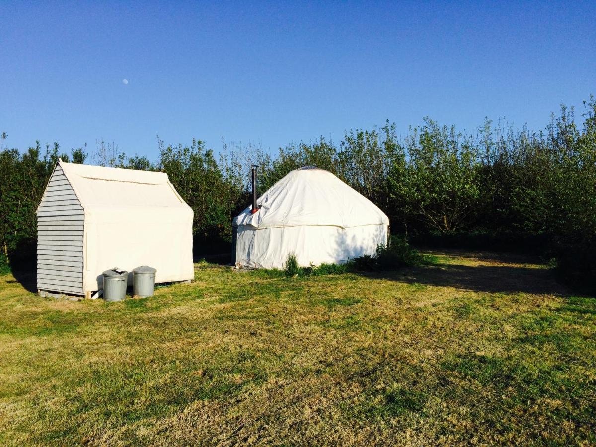 Mill Haven Place Glamping-Yurt 2 Haverfordwest Eksteriør billede